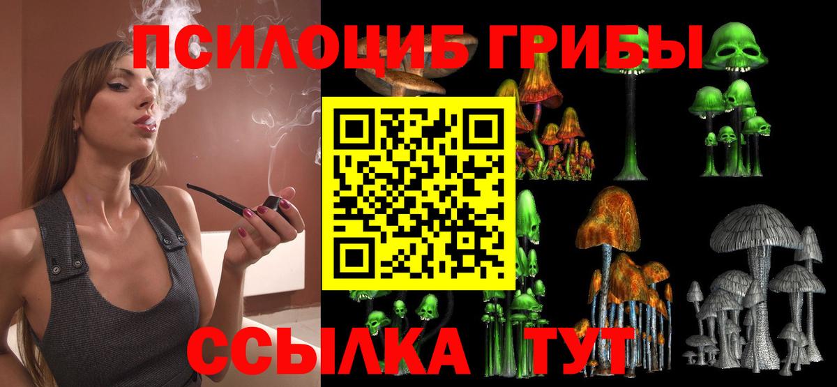Котлас  Псилоцибиновые грибы GOLDEN TEACHER  Вход с VPN 
